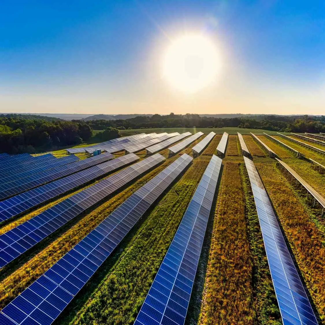 Tarım ve Güneş Enerjisinin Buluşması: Filtre Teknolojisi ile Çift Yönlü Verimlilik